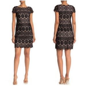 ELIZA J Black Lace Sheath Mini Dress Cap Sleeves Size 10